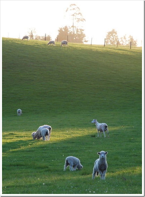 2010-11-01_07-51-38 (1)