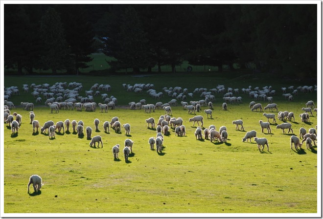 2010-11-02_18-50-49 (1)