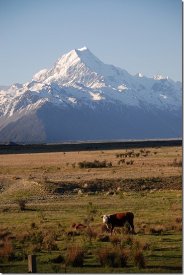 2010-11-02_18-54-16 (1)