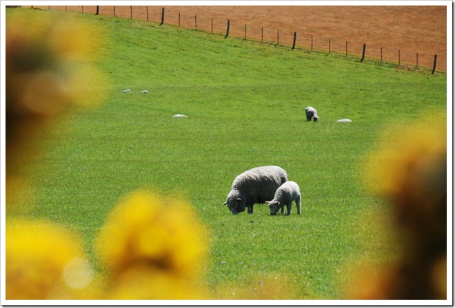 2010-11-04_11-19-16 (1)