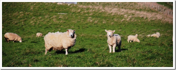 2010-11-04_18-01-22 (1)