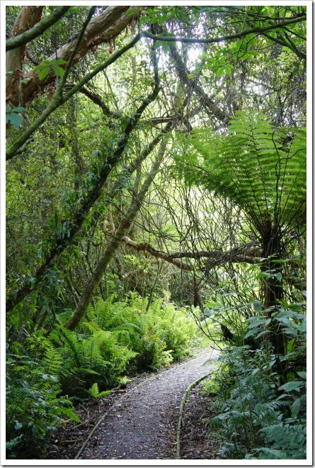 2010-11-07_15-37-13_01