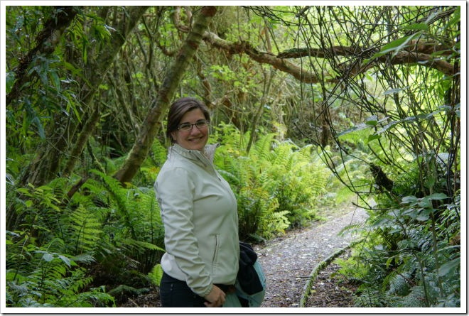 2010-11-07_15-38-15_01