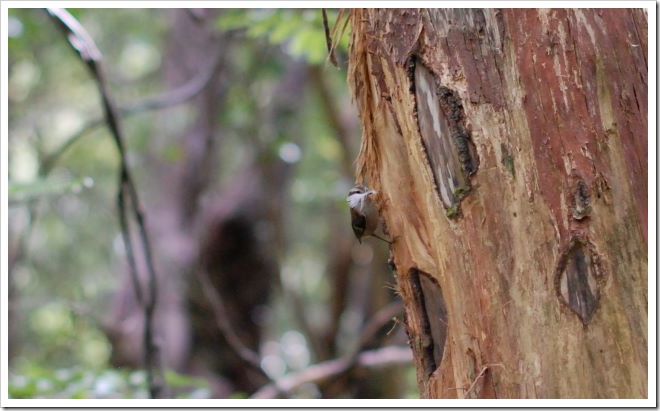 2010-11-08_10-18-43_01 (1)