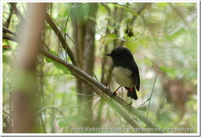 2010-11-08_10-58-22 (1)