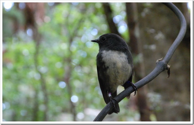 2010-11-08_11-24-39 (1)