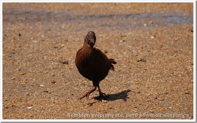 2010-11-08_12-07-09 (1)