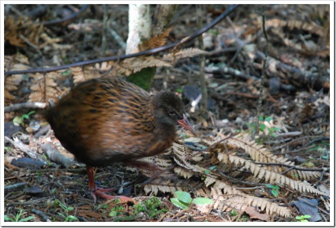 2010-11-08_12-32-44 (1)