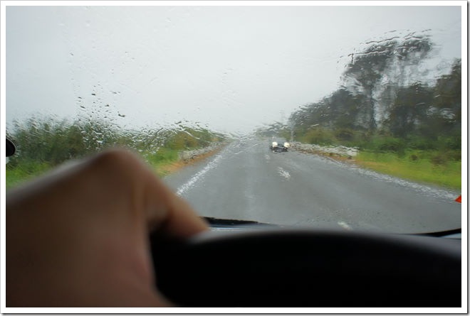 2010-11-14_11-41-07 (1)