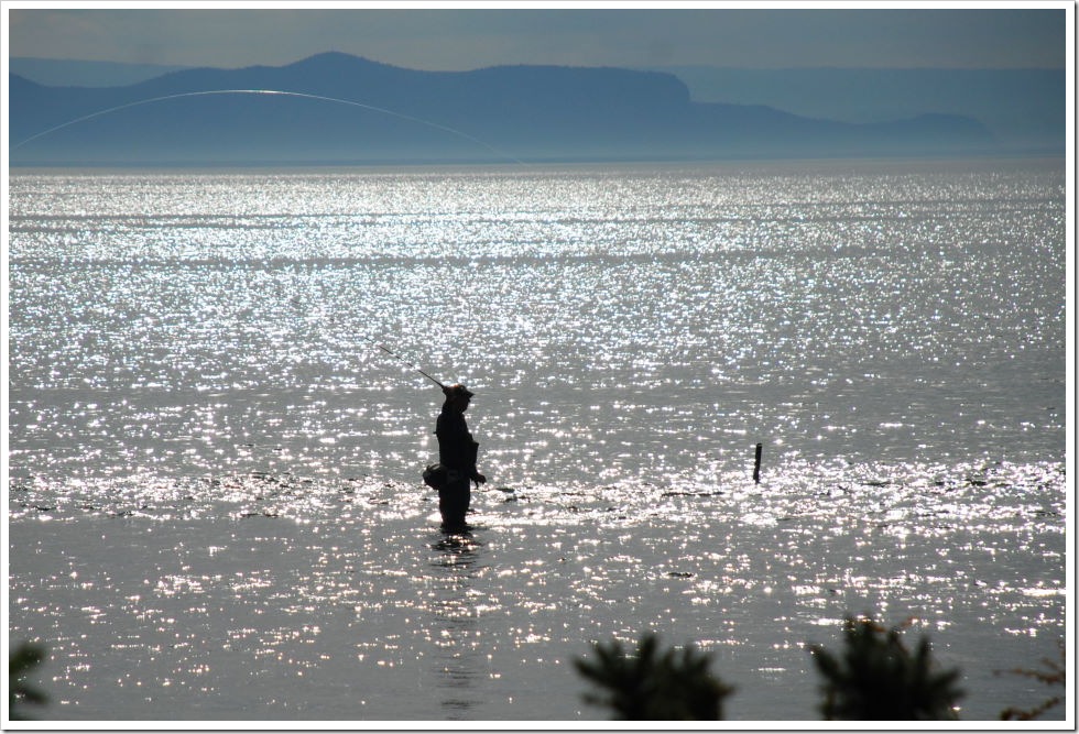 2010-11-18_17-26-16 (1)