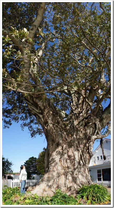 2010-11-22_17-52-47 (1)