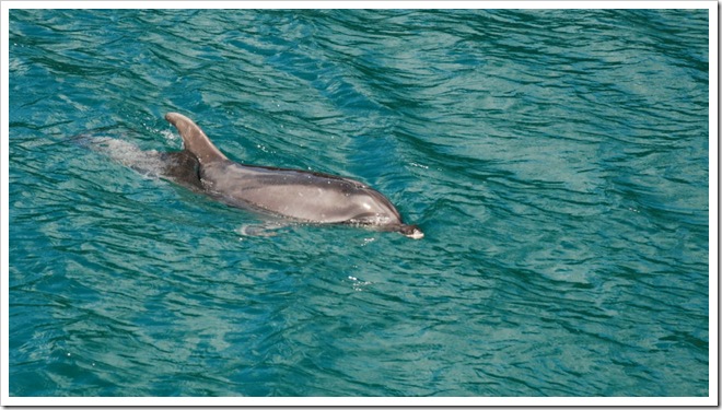 2010-11-23_10-14-59_02 (1)