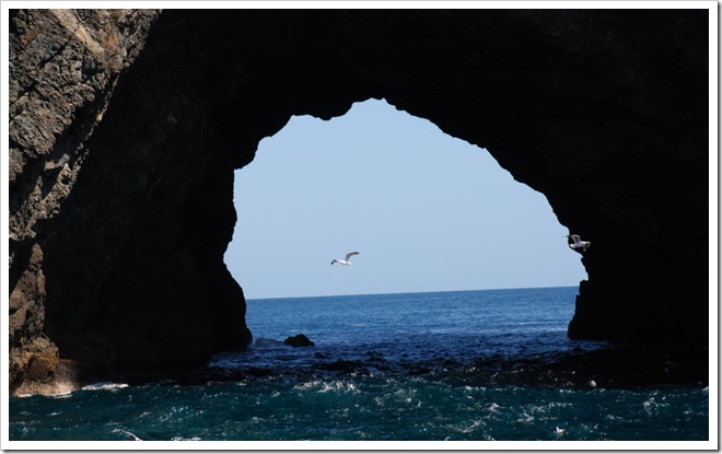 2010-11-23_10-56-33 (1)