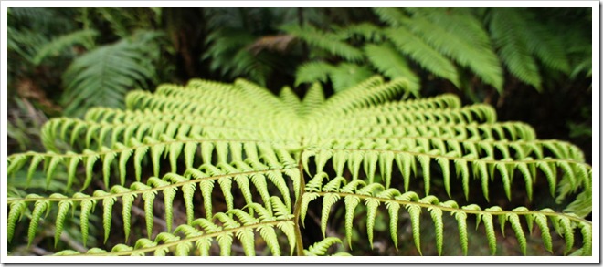 2010-11-23_18-17-37 (1)