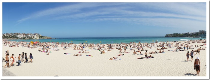 2010-11-27_15-08-48 (1)