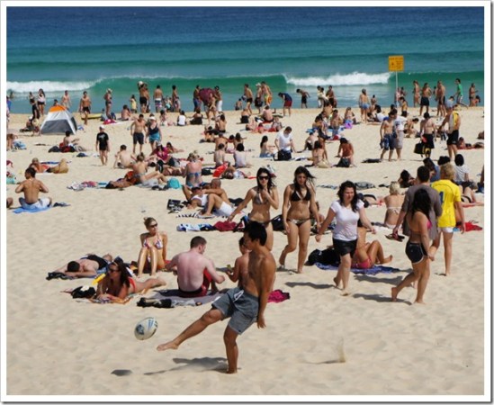 2010-11-27_15-10-17 (1)