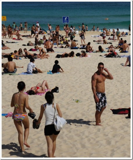 2010-11-27_15-16-23 (1)