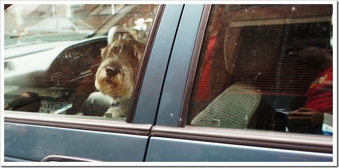 2010-11-28_12-41-02 (1)