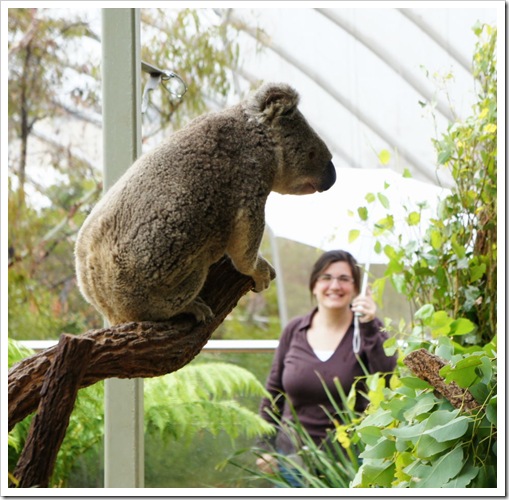 2010-11-28_16-12-13 (1)