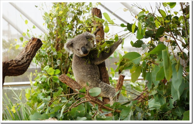 2010-11-28_16-33-58 (1)