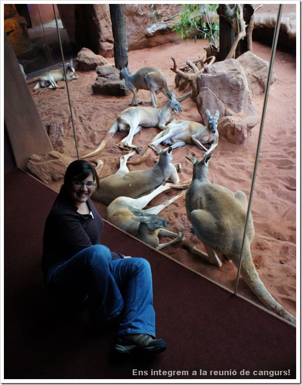 2010-11-28_17-35-13 (1)