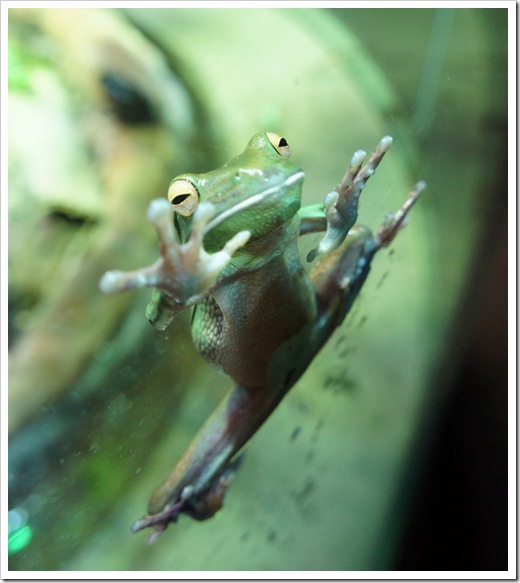 2010-11-28_17-38-47 (1)