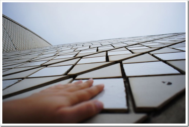 2010-11-29_17-33-21 (1)