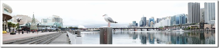 2010-11-29_12-35-12 (1)