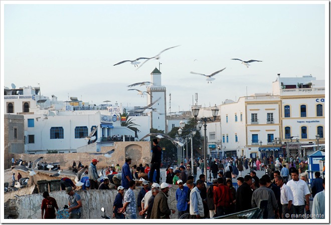 essaouira