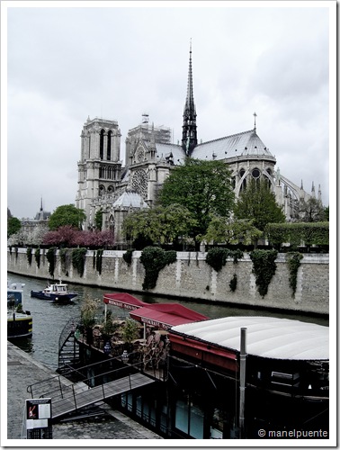 notredame_03