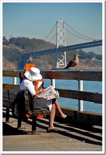Oakland Bay Bridge_1