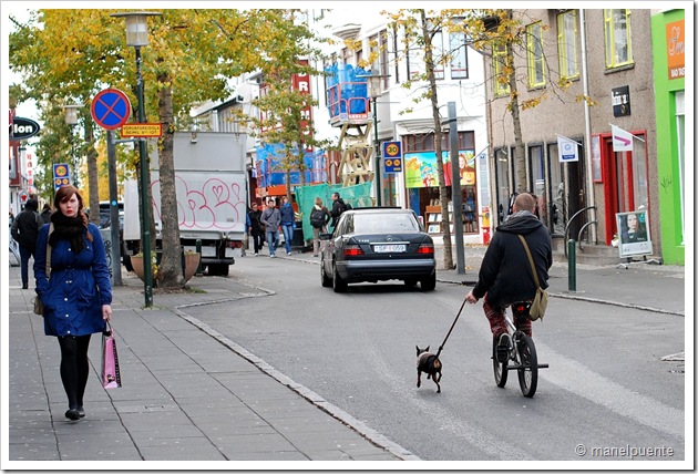 Carrer de Laugavegur a Reykjavik