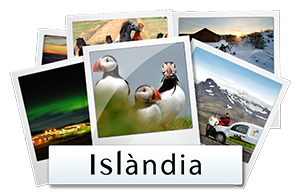 galeria-fotos-islandia-cat
