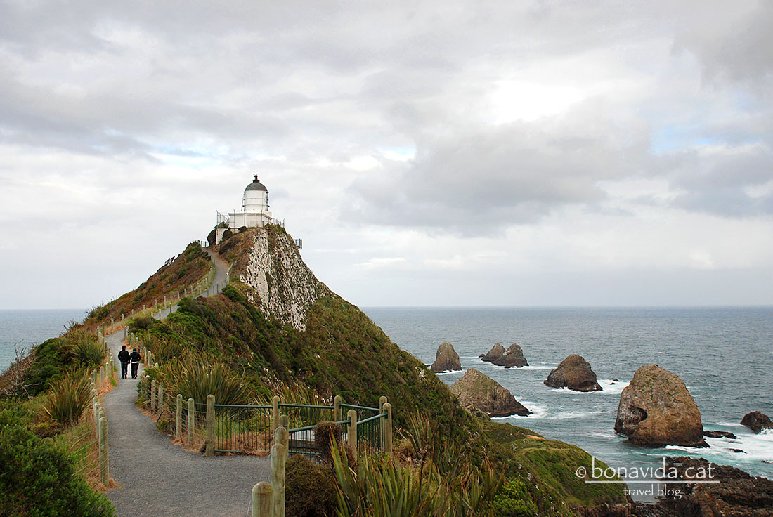 Un rincón mítico: el faro de Nugget Point