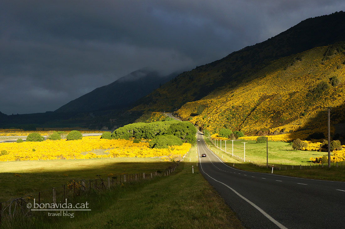 La luz en este país es especial...