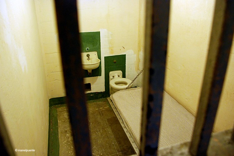 Les mides de les cel·les impressionen pel seu reduït tamany