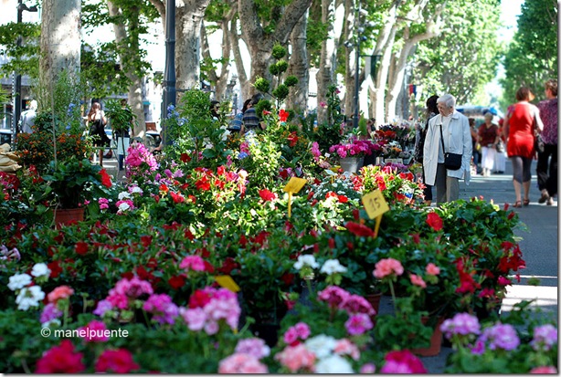 Béziers. Languedoc-Roussillon. França