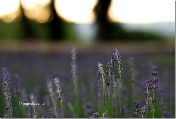 Hotel Une sieste en Luberon. Bonnieux, La Provence. França