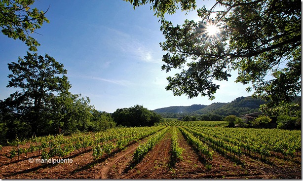 Hotel Une sieste en Luberon, Bonnieux. La Provence, França