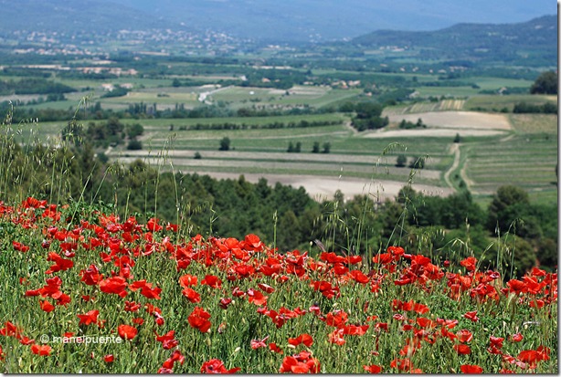 Poble de Roussillon, La Provence. França