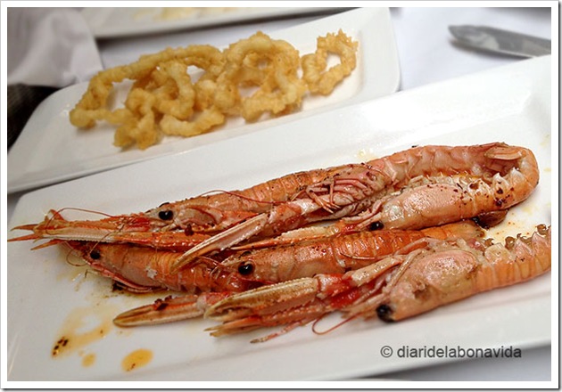 canladis_07_calamarsicigales