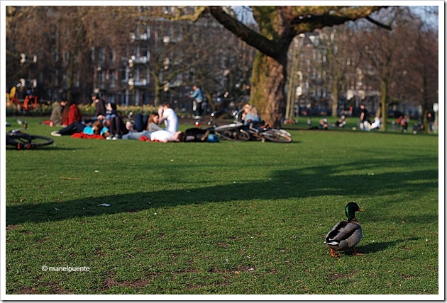 Sarphatipark, Amsterdam