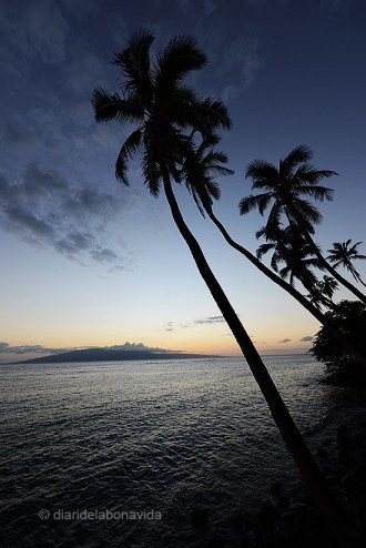 El dia arriba a la seva fi a Lahaina