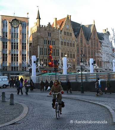BELGICA_0407_DBV
