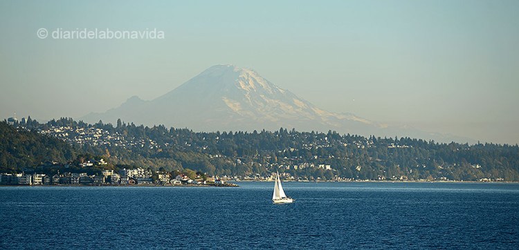 Des del ferri es tenen unes fantàstiques vistes de la badia Puget Sound