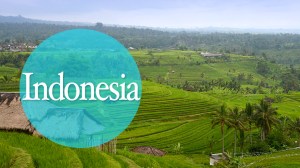 iconos ciudades indonesia